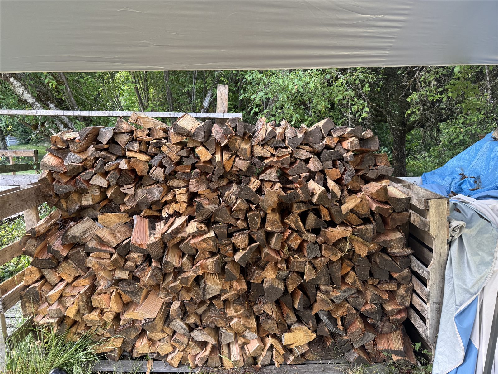 Large stacked cord of seasoned split firewood under a canopy in Bothell, WA