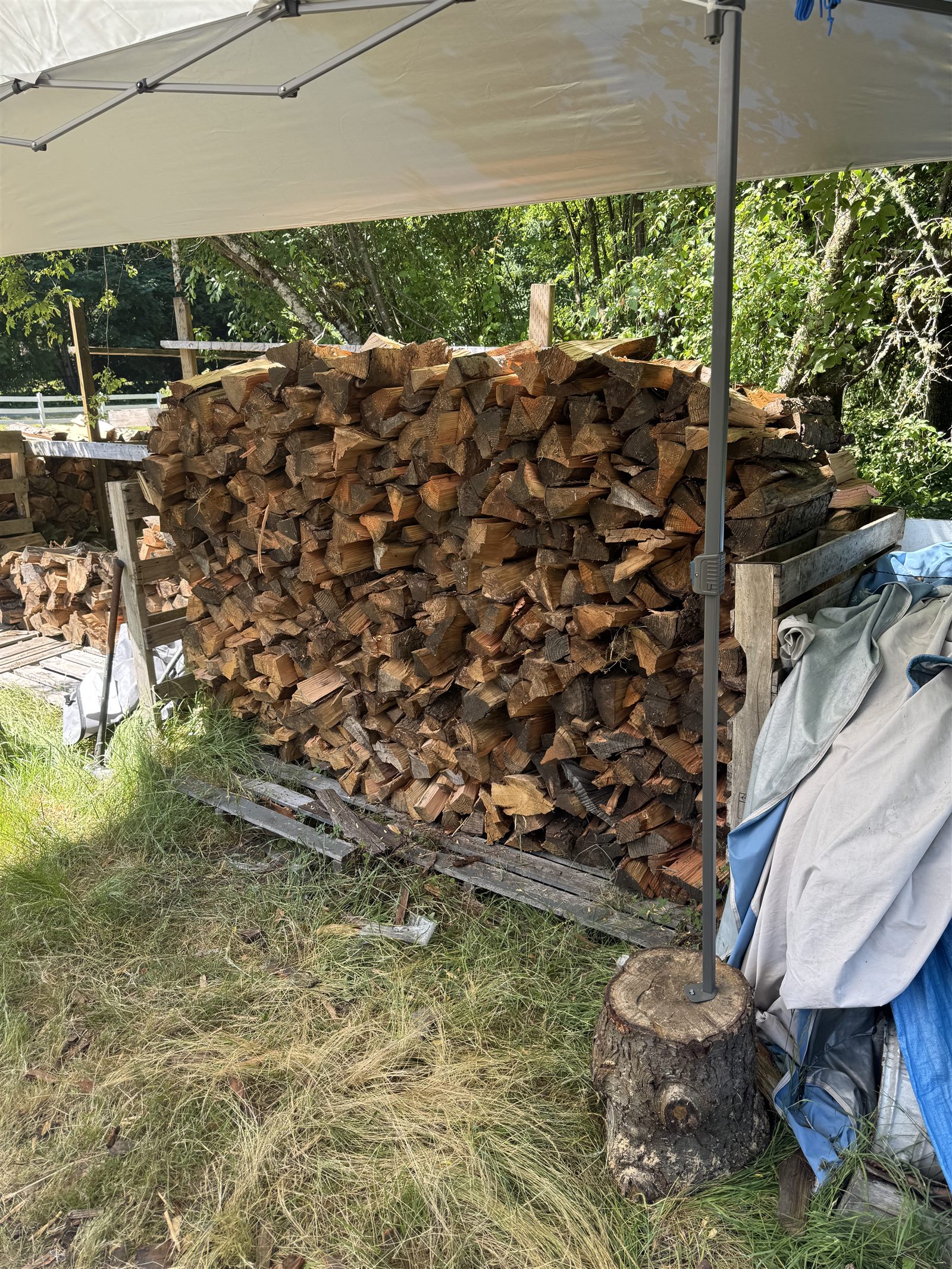 Firewood stacked on pallet racks under a canopy with additional cords in the background
