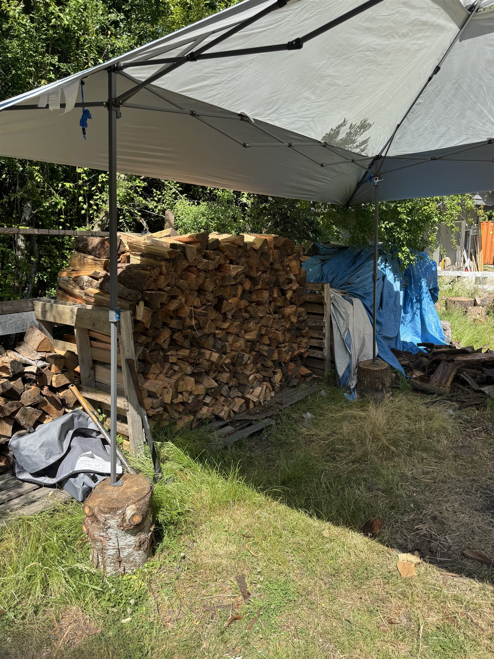 Firewood storage area with tarps and multiple stacked cords under a canopy tent